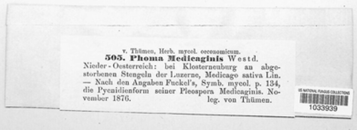 Ascochyta medicaginicola image